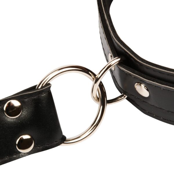 Set of Erotic Sex Toys for Couples - Image 4